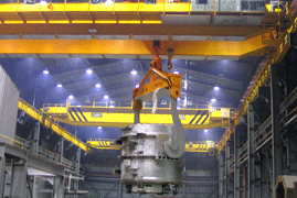 沈陽星都:特殊起重機