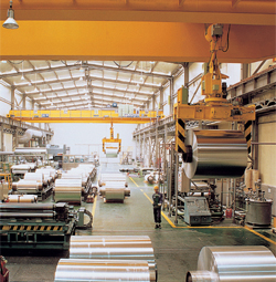 沈陽星都:夾鉗起重機