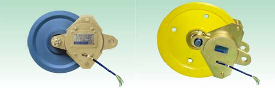 江西飛達(dá)BWL型起重量限制器