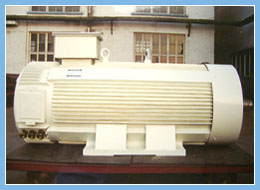 大連天元油田鉆井變頻電機系列