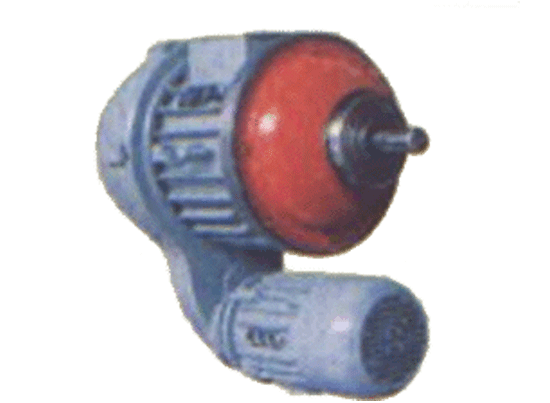 武漢三六:ZDS1型雙電機(jī)組（子母式）錐形轉(zhuǎn)子制動三相異步電動機(jī) ZDS1型