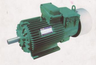 YZRW電動(dòng)機(jī)