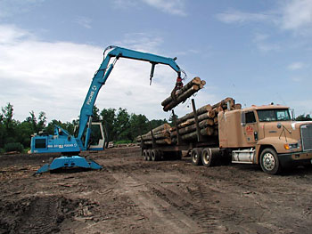 特雷克斯(Terex)(三河):物料抓運機 MHL 331D