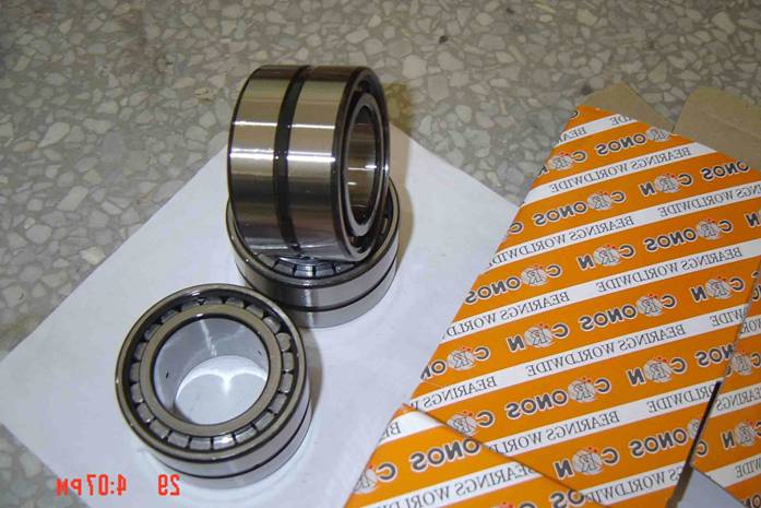 起重機(jī)滑輪軸承 SL04 50 系列