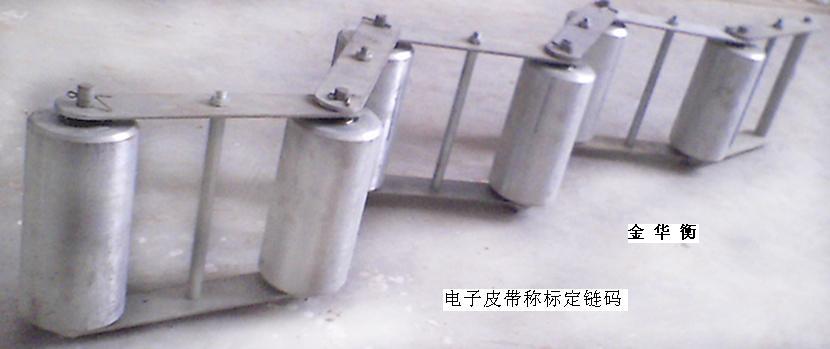 電子皮帶秤標(biāo)定鏈碼 ICS