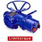 美國利密托克（LIMITOQUE）電動執(zhí)行機(jī)構(gòu)