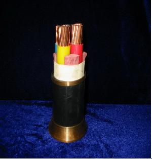 沈陽電纜:交聯(lián)聚乙稀絕緣電力電纜