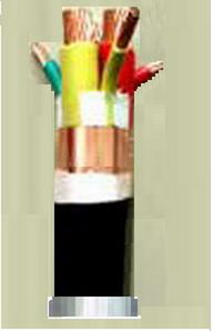 沈陽電纜:變頻器專用電纜