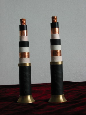 沈陽(yáng)電纜:軌道交通直流電力電纜