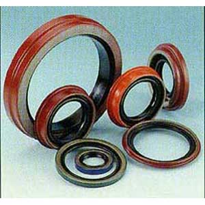 德國(guó)CFW油封