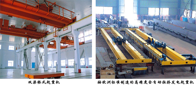 深圳起重機(jī) 電動(dòng)起重機(jī)