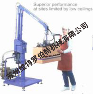 蘇州維特羅伯特:裝箱堆垛機械手 TDG-50