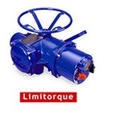 Limitorque執(zhí)行器