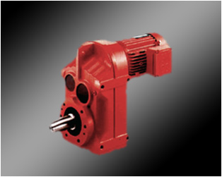 GF系列平行軸斜式斜齒輪減速電機(jī)