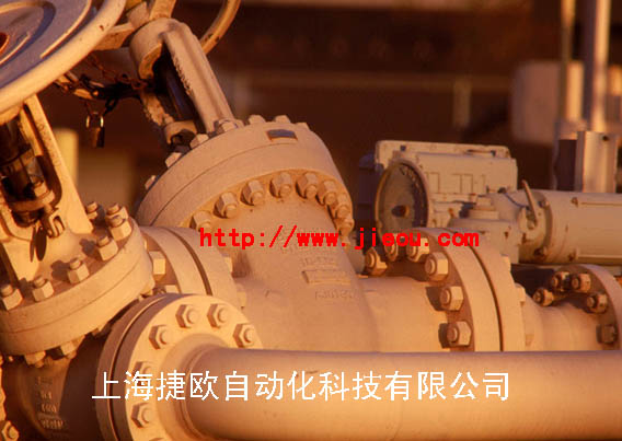 法國(guó)ERSE模塊、ERSE伺服閥接口模塊 齊全