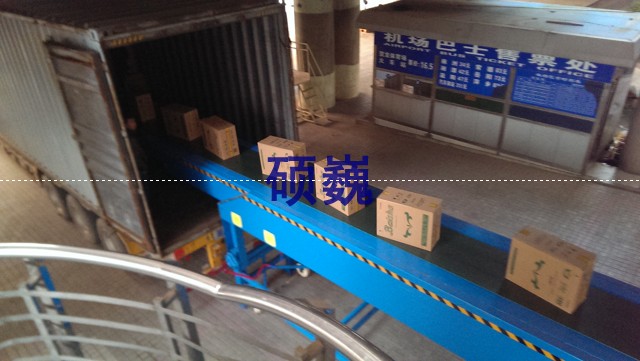 裝車(chē)設(shè)備 SVMVL