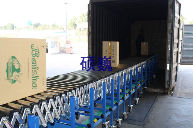 裝車輸送機(jī) SVMVL1