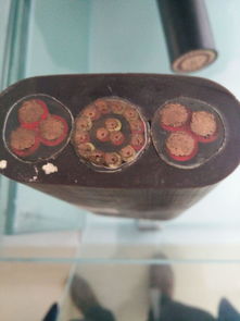 起重機扁平電纜 RVVG YFFBG