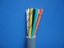 電動葫蘆線 起重機手柄線 RVV1G RVV2G