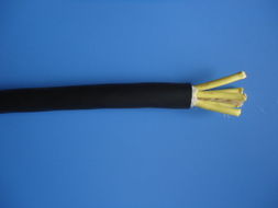 葫蘆線 起重機(jī)電纜線 RVVG RVV2G