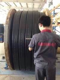 歐式起重機(jī)電纜 扁電纜 柔性扁電纜 YFFBG YFFB