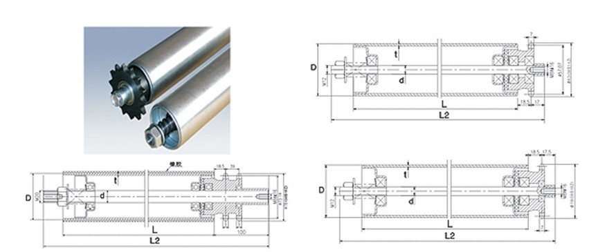 廠家定制積放式輥筒 積放式輥道線，剎車輥道線 單雙鏈積放輥道機(jī)，積放式輸送線13385826002魯先生 HY-09