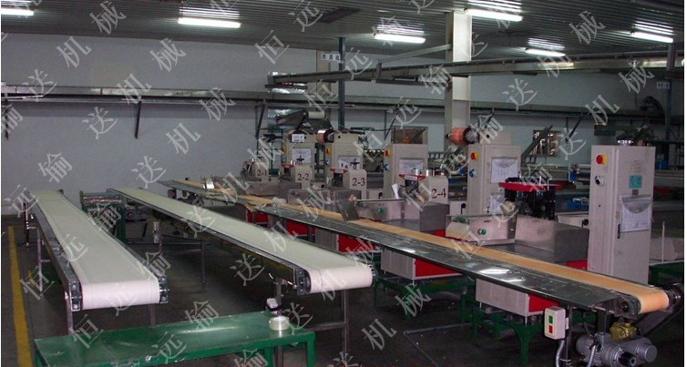 廠家生產(chǎn)分揀式輥道線，分揀式鏈板線，分揀式皮帶線，非標(biāo)輸送線湖州恒遠(yuǎn)恒久品質(zhì)永遠(yuǎn)服務(wù)客戶 HY-11